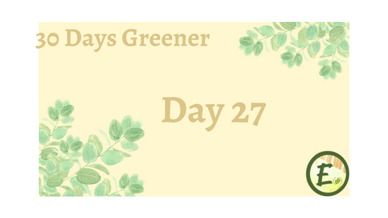 Day 27 - Bathroom Blitz